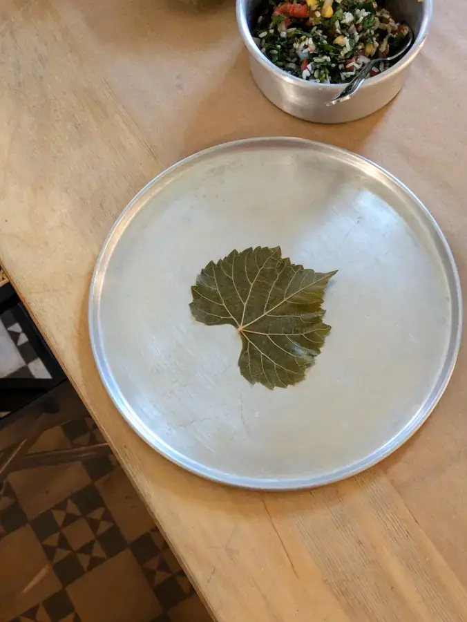 Vine Leaves for Resistance