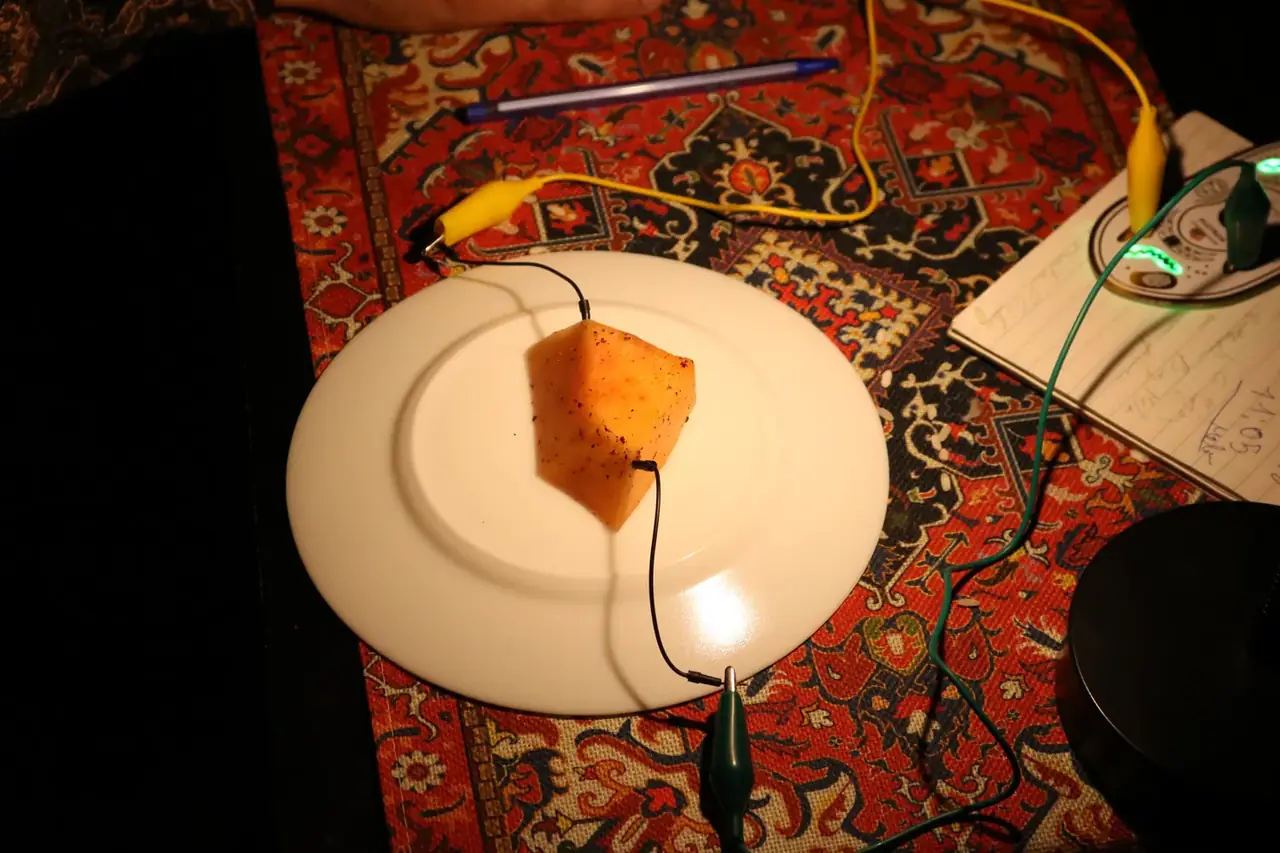 Singularity: The Dinner